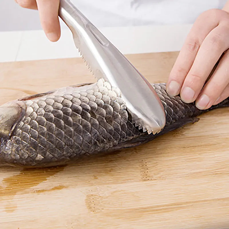 Stainless Steel Fish Scaler Remover – Sawtooth Descaler Tool