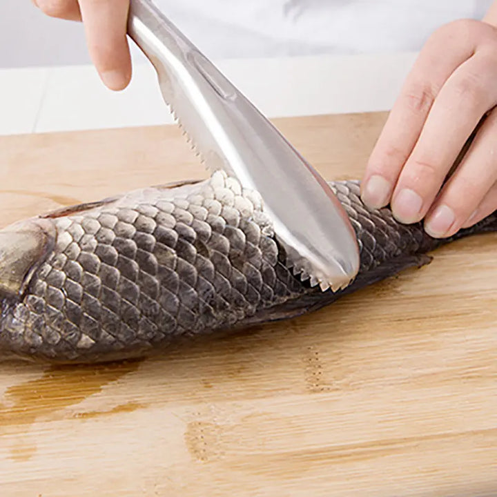 Stainless Steel Fish Scaler Remover – Sawtooth Descaler Tool