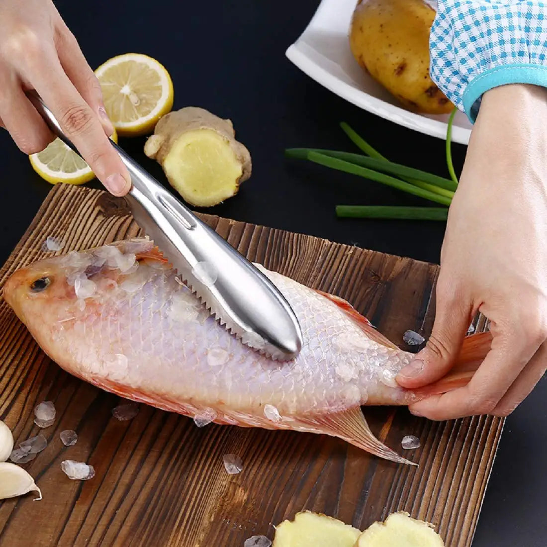 Stainless Steel Fish Scaler Remover – Sawtooth Descaler Tool