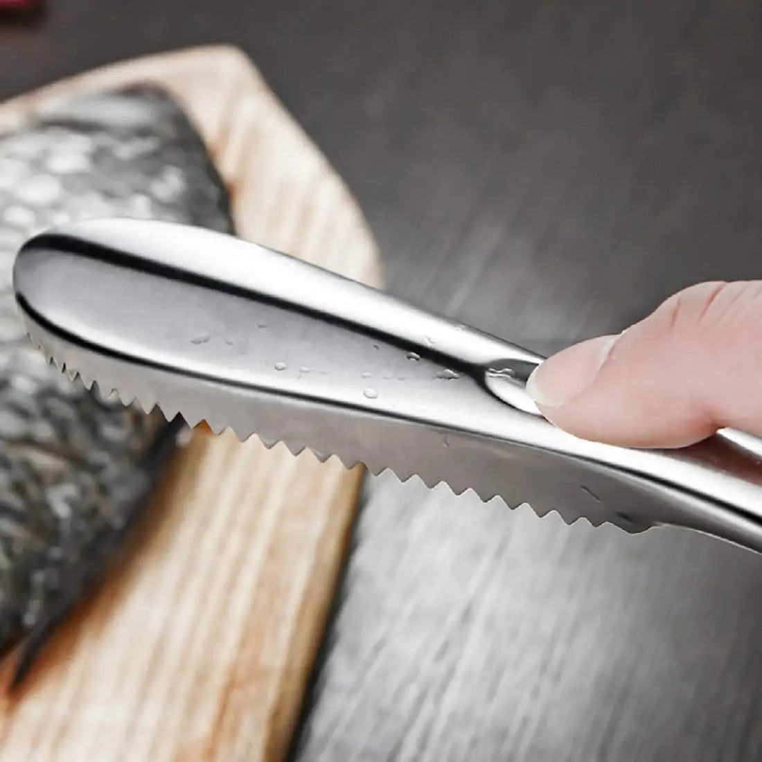 Stainless Steel Fish Scaler Remover – Sawtooth Descaler Tool