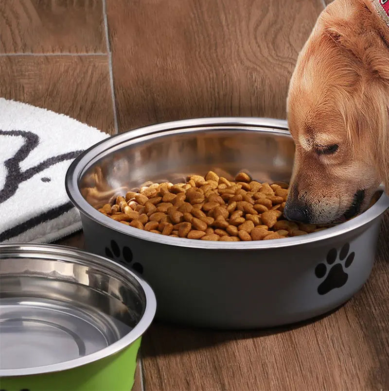 Stainless Steel Pet Bowl – Non-Slip Water & Food Bowl for Cats and Dogs