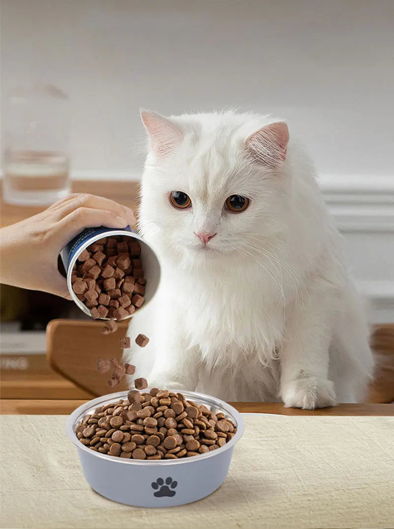 Stainless Steel Pet Bowl – Non-Slip Water & Food Bowl for Cats and Dogs