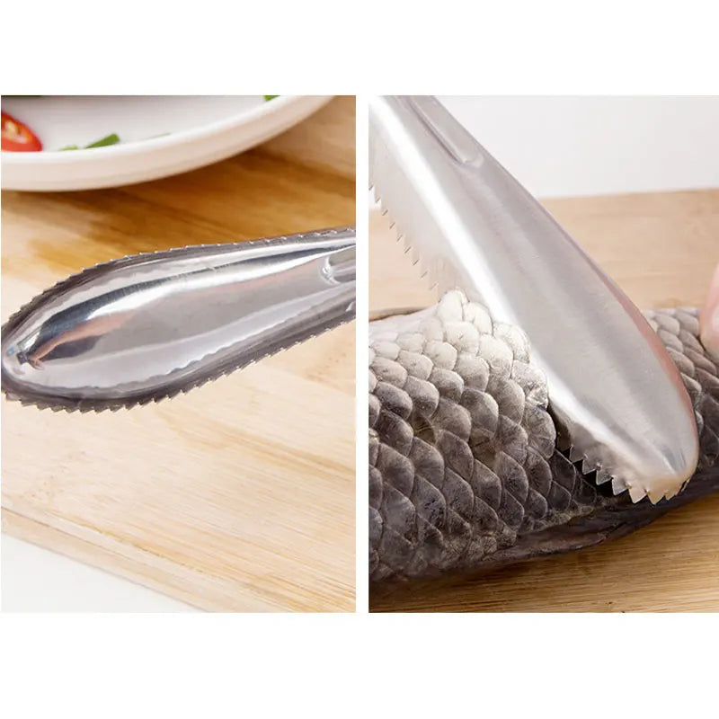 Stainless Steel Fish Scaler Remover – Sawtooth Descaler Tool
