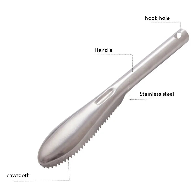 Stainless Steel Fish Scaler Remover – Sawtooth Descaler Tool