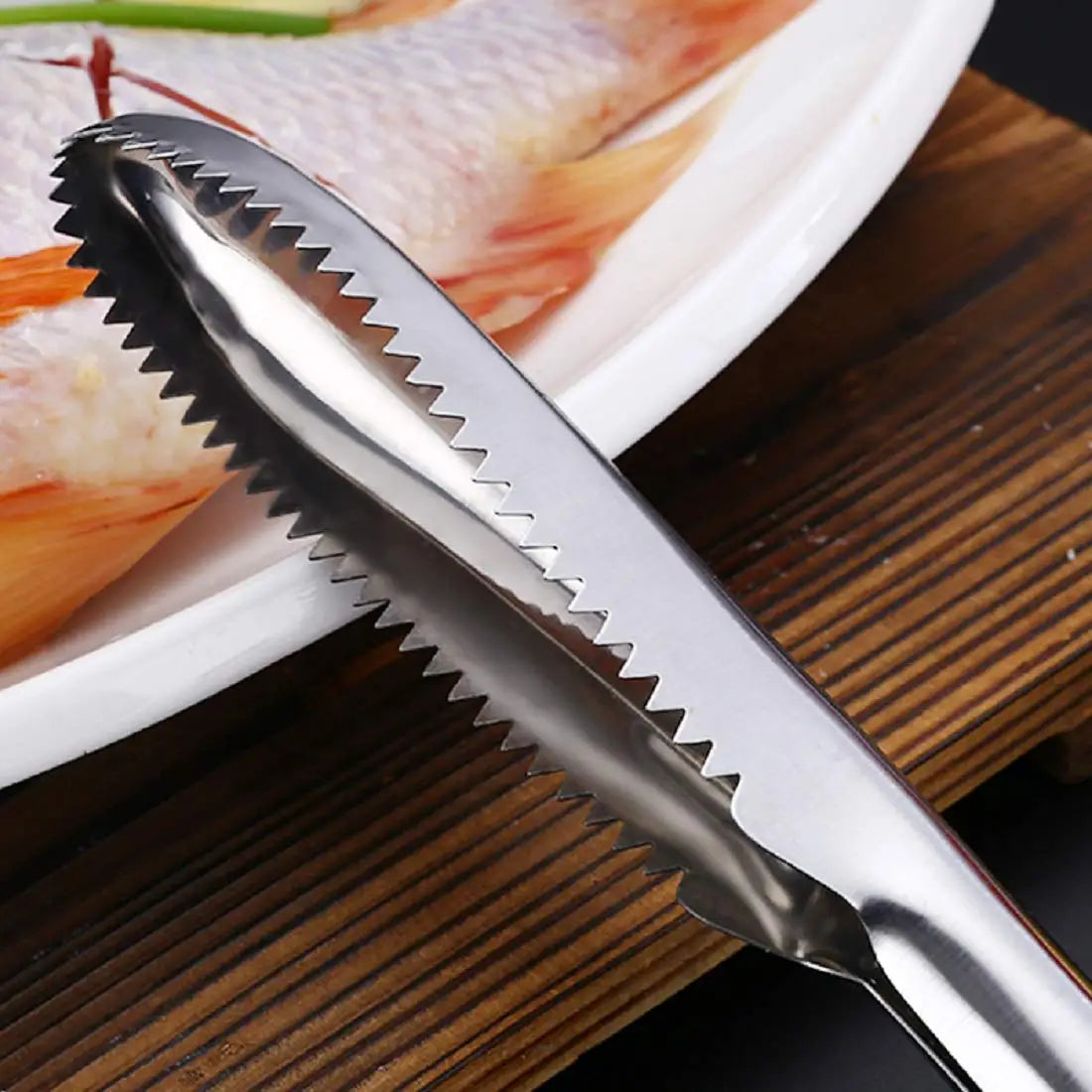 Stainless Steel Fish Scaler Remover – Sawtooth Descaler Tool