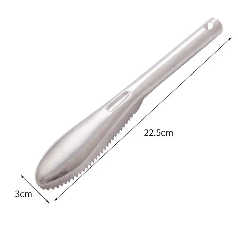 Stainless Steel Fish Scaler Remover – Sawtooth Descaler Tool